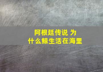 阿根廷传说 为什么鲸生活在海里